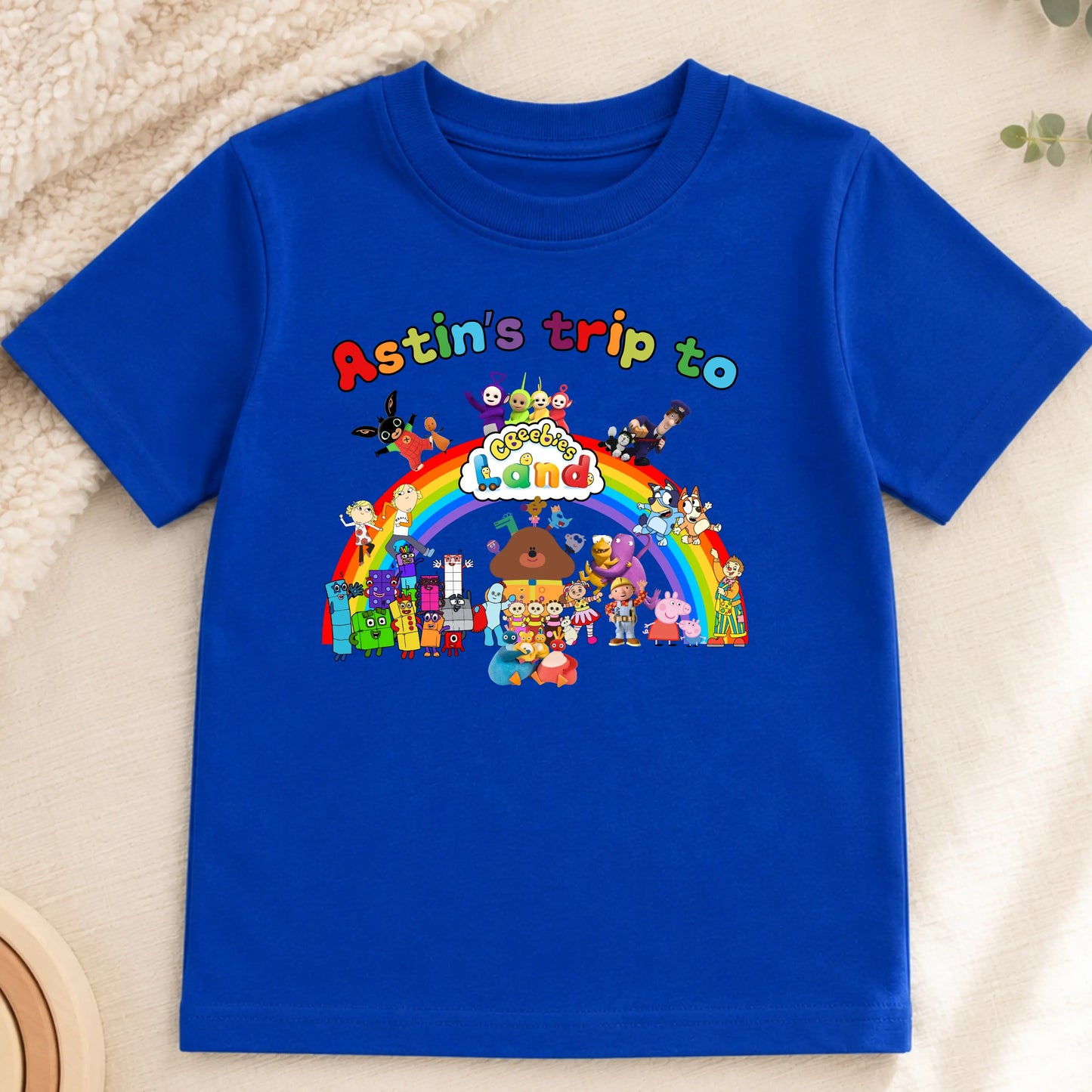 Personalised CBeebies Land Birthday T-Shirt for Boys – Custom Character Theme Park Birthday Shirt AishaBaileyDesigns