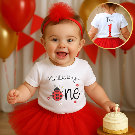 personalised 1st birthday t-shirt, ladybird toddler shirt, 1st birthday shirt, girls birthday tee, toddler birthday