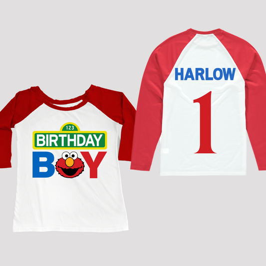 Boys Sesame street personalised top, biys custom Elmo, baby's personalised 1st, custom boys birthday top